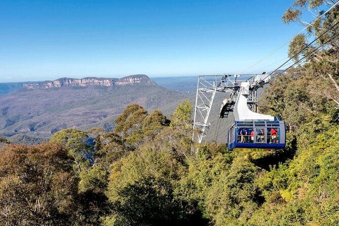 Blue Mountains Luxury Tour Experience - Authentic Traveler Insights