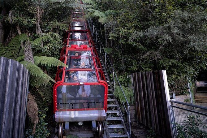 Blue Mountains Luxury Tour Experience - FAQs