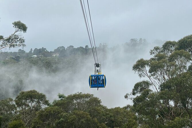 Blue Mountains Main Attraction Private Daily Group Tours - FAQ
