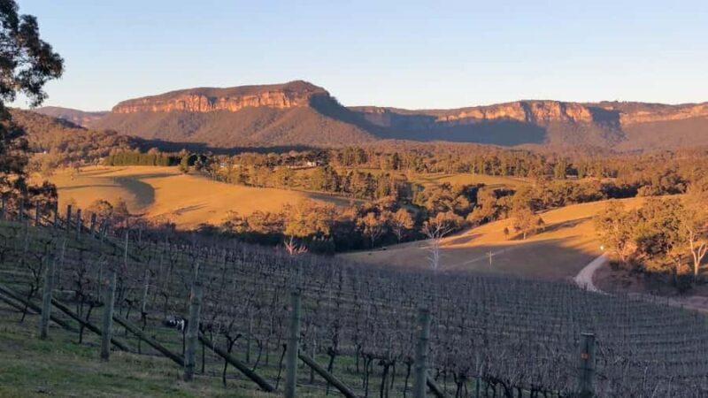 Blue Mountains: Megalong Valley Wine Tasting & Lunch - A Detailed Look at the Megalong Valley Wine Tasting & Lunch Tour