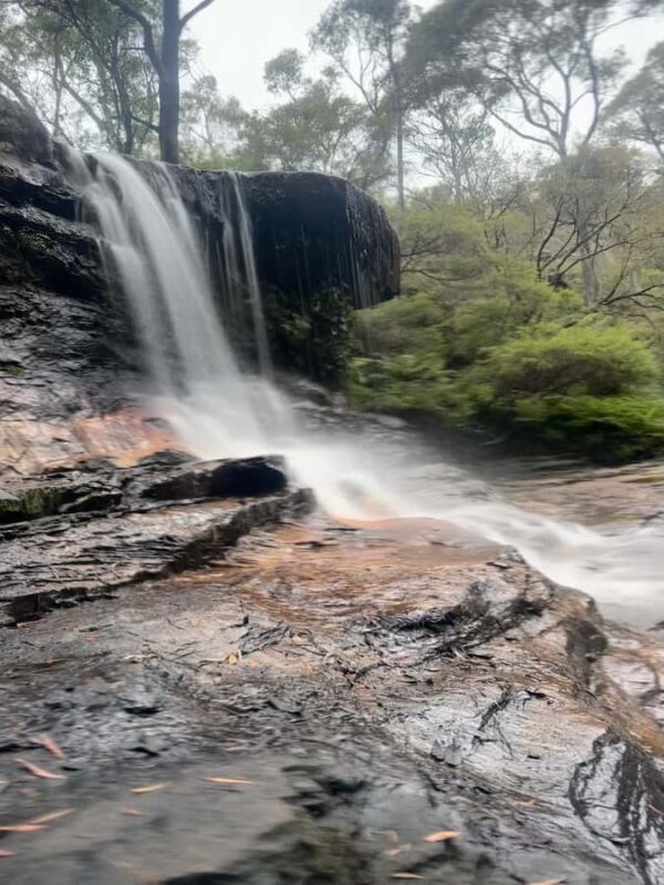Blue Mountains: Overcliff-Undercliff Guided Hike - Key Points
