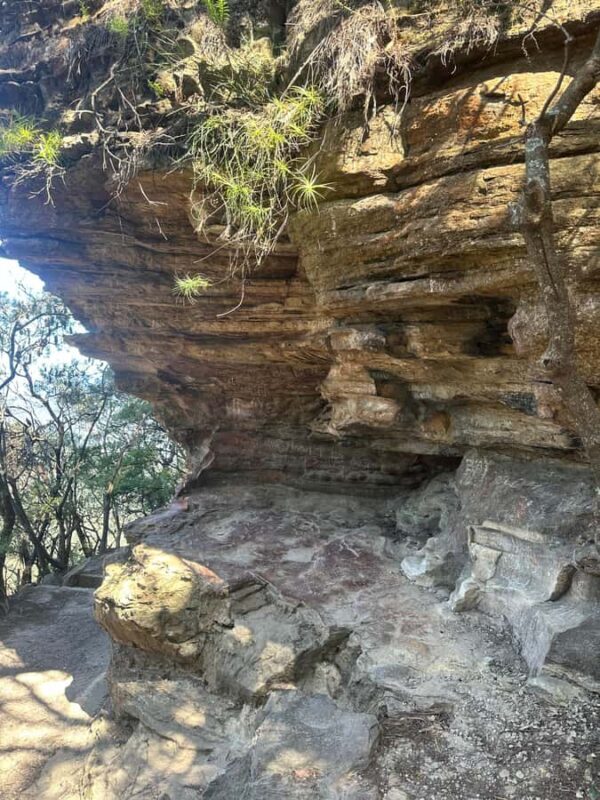 Blue Mountains: Overcliff-Undercliff Guided Hike - What to Expect on the Trail