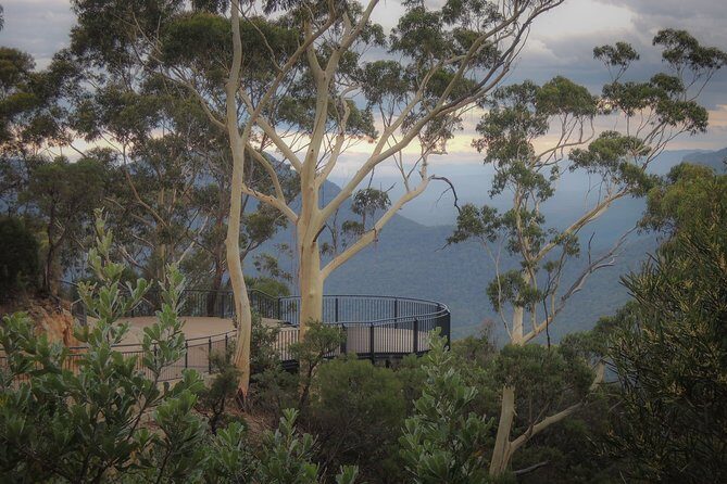 Blue Mountains Private Charter - The Value of Private Transport and Customization