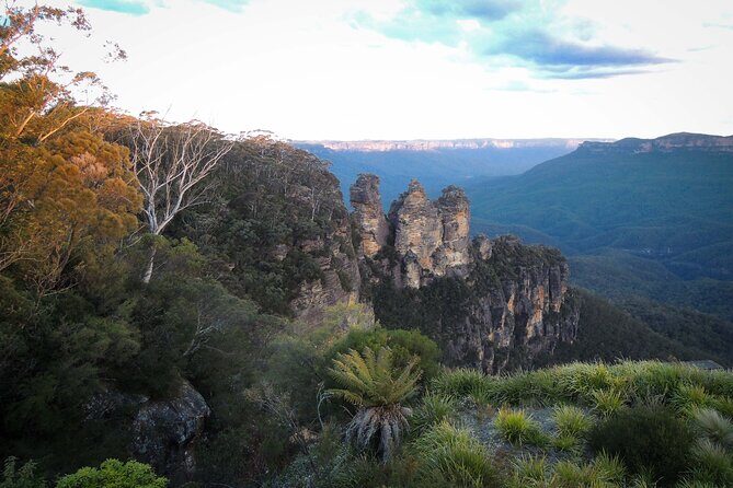 Blue Mountains Private Charter - Wildlife and Nature Encounters