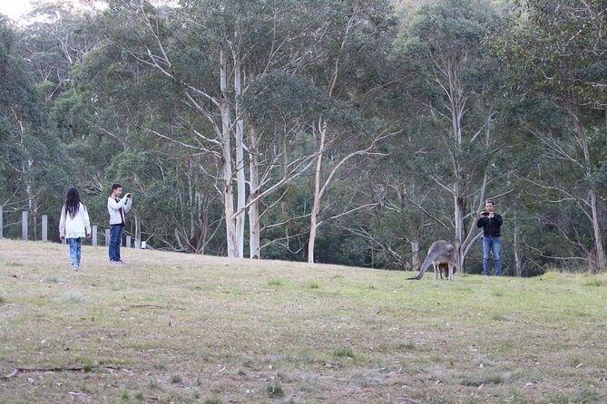 Blue Mountains Private Charter - The Practicalities: What’s Included and What’s Not