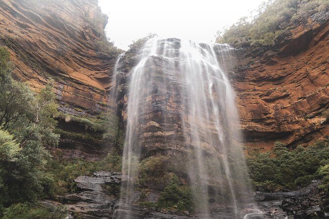 Blue Mountains Private Charter - The Experience and Customer Feedback