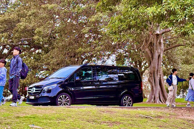 Blue Mountains Private Sightseeing Day Tours from Sydney - The Iconic Wentworth Falls