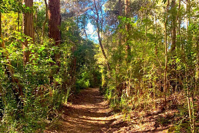 Blue Mountains Private Sightseeing Day Tours from Sydney - Katoomba Falls and Leura Village