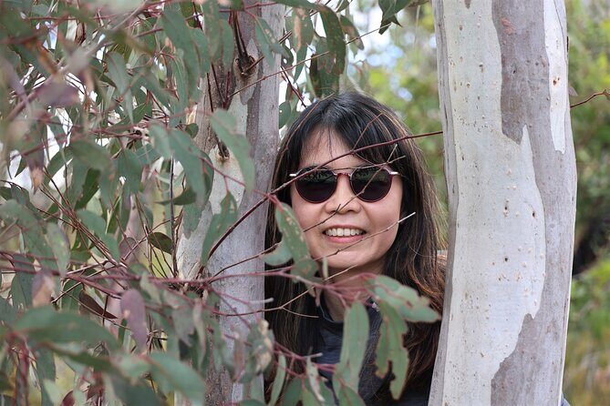 Blue Mountains Private Tour - The Sum Up