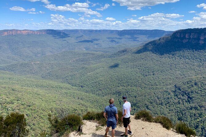 Blue Mountains Private Tour From Sydney, & Featherdale Aussie Animal Park Option - Why Consider a Private Blue Mountains Tour?