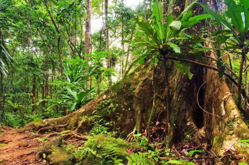 Blue Mountains Private Tour from Sydney - Who Will Love This Tour?