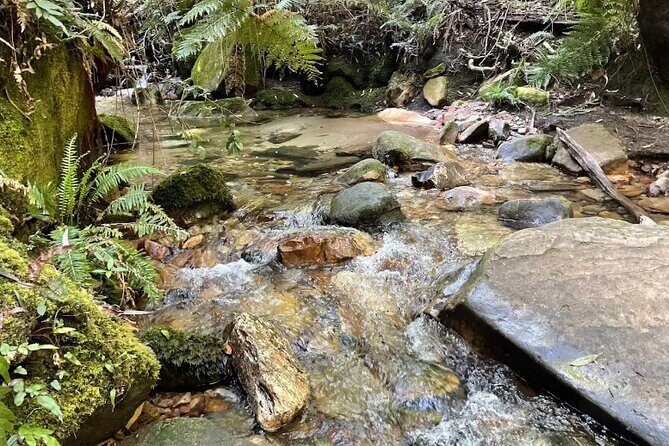 Blue Mountains Private Tour & Memorable Gems & wild marsupials - Exploring the Blue Mountains: A Practical, Authentic Day Trip
