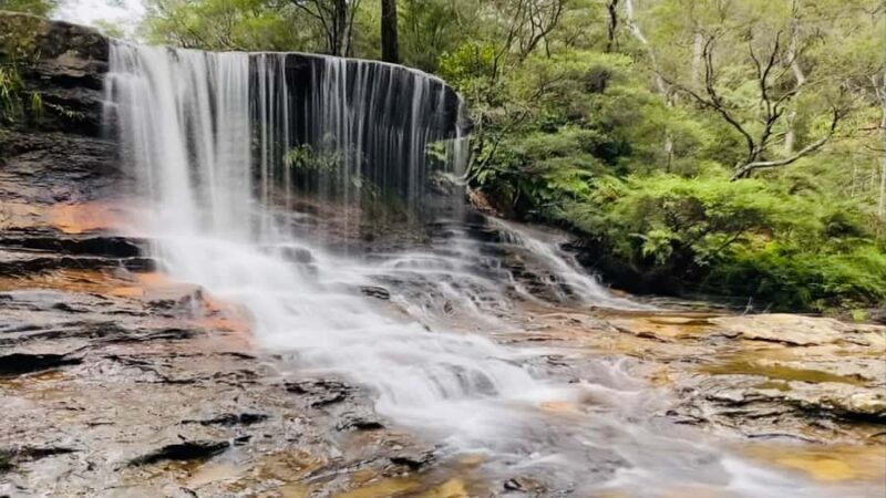 Blue Mountains private tour with Featherdale Wildlife Park - The Itinerary Breakdown: What You Can Expect