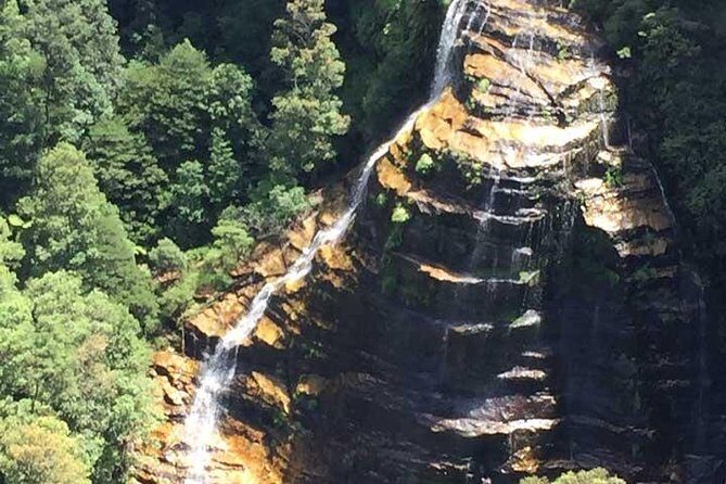 Blue Mountains Private Tour with Kangaroo and Koala Experience - FAQ