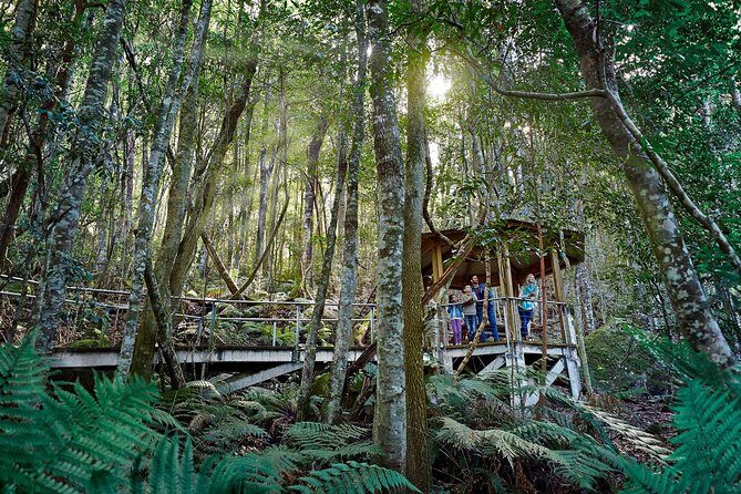 Blue Mountains Small-Group Tour from Sydney with Scenic World,Sydney Zoo & Ferry - FAQ