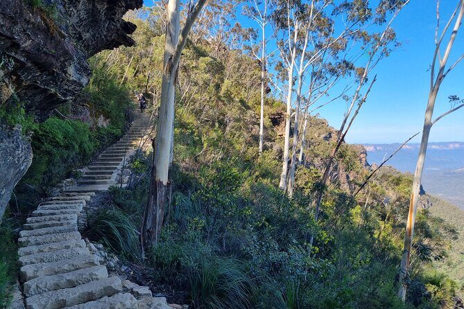 Blue Mountains Small Group Tour with Lunch, Zoo and Scenic World - Who Is This Tour Best For?