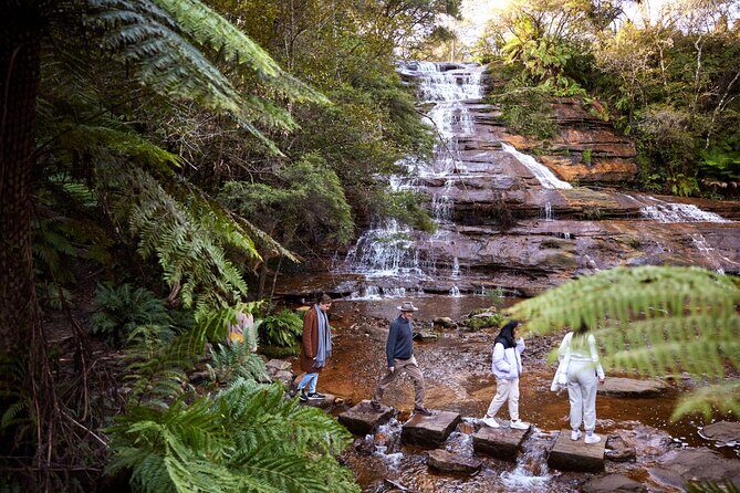 Blue Mountains Sunset Tour with Kangaroo Sightings from Sydney - Key Points