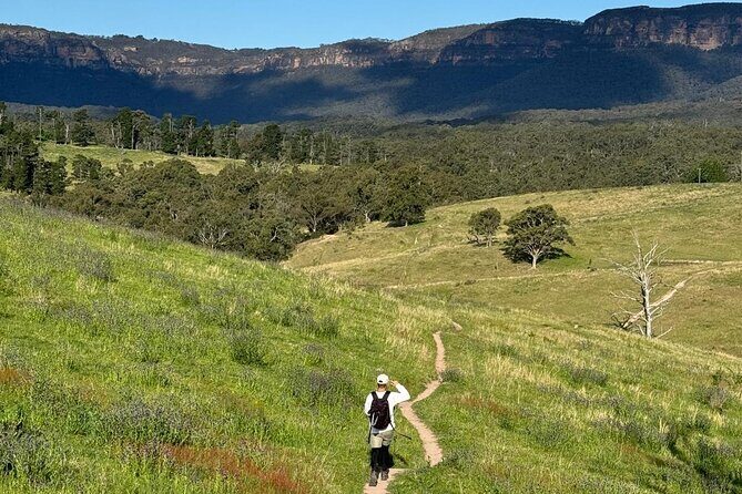 Blue Mountains Sunset Tour with Kangaroo Sightings from Sydney - FAQs
