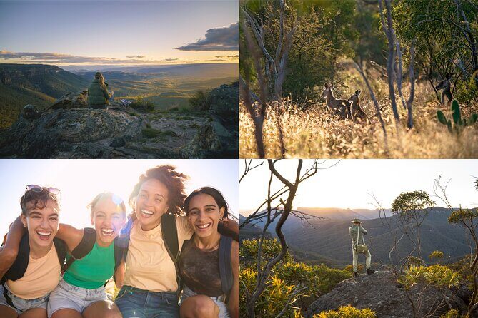 Blue Mountains Sunset Tour with Kangaroo Sightings from Sydney - Final Thoughts