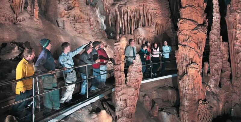 Blue Mountains Tour from Sydney - Full Day Private Tours - Scenic World: Adventure and Views (Optional)