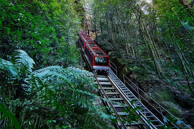 Blue Mountains Tour - Highlights - Authentic Insights from Travelers