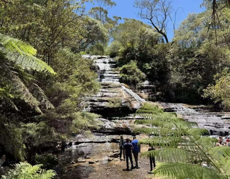 Blue Mountains Tour, Katoomba Falls & Cockatoos Small Group - Key Points