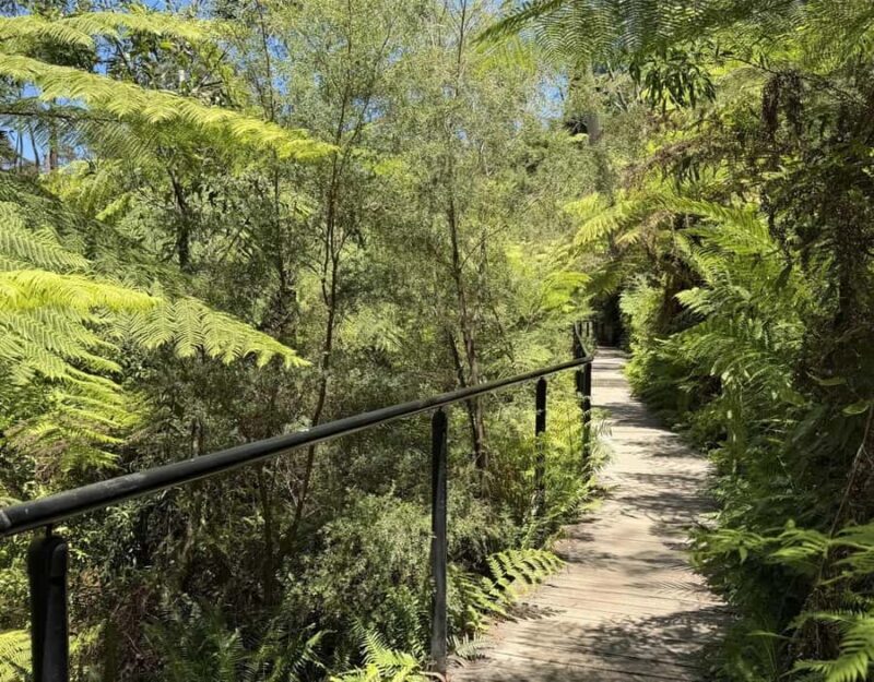 Blue Mountains Tour, Katoomba Falls & Cockatoos Small Group - FAQ