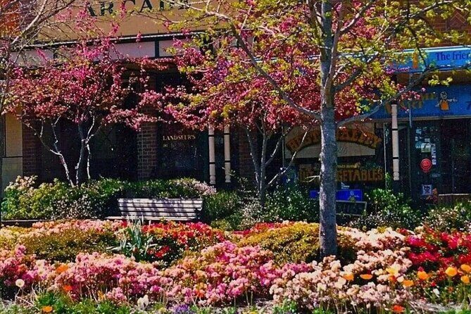 Blue Mountains Tour & Main Attractions & Suv Pick up & drop off - Final Thoughts: Is It Worth It?