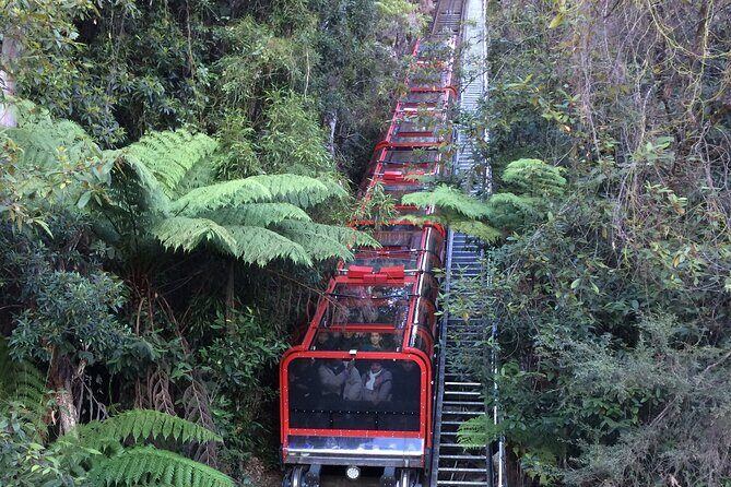 Blue Mountains Tour PRIVATE with Wildlife Park and River Cruise - Who Should Take This Tour?