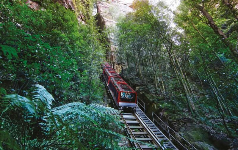 Blue Mountains Tour with Scenic World, Zoo&Bilingual Driver - Who Would Enjoy This Tour?