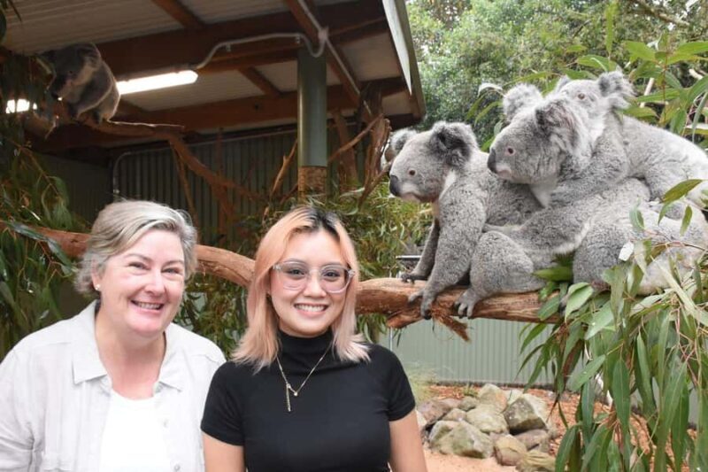 Blue Mountains Tour with Scenic World, Zoo&Bilingual Driver - Final Thoughts: Why This Tour Is a Solid Choice
