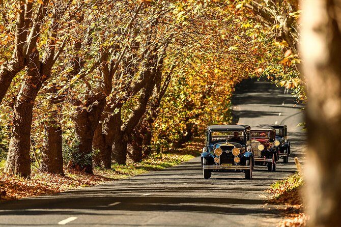 Blue Mountains Vintage Cadillac Tour with Local Guide - A Classic Ride with a Personal Touch