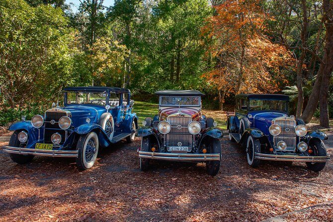 Blue Mountains Vintage Cadillac Tour with Local Guide - Practical Details and Considerations
