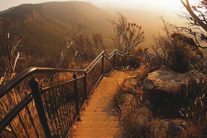 Blue Mountains Vintage Cadillac Tour with Local Guide - How This Tour Stands Out