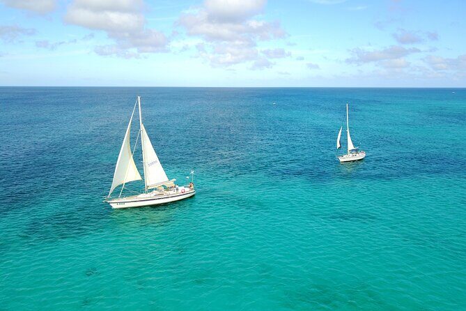 Blue Parrot Snorkel Sail with 4 course lunch or dinner in Aruba - Cancellation and Flexibility