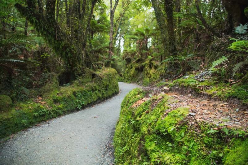 Blue Pools & Makarora Day Walk - Key Points