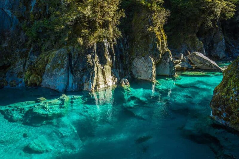 Blue Pools & Makarora Day Walk - Who Should Consider This Tour?