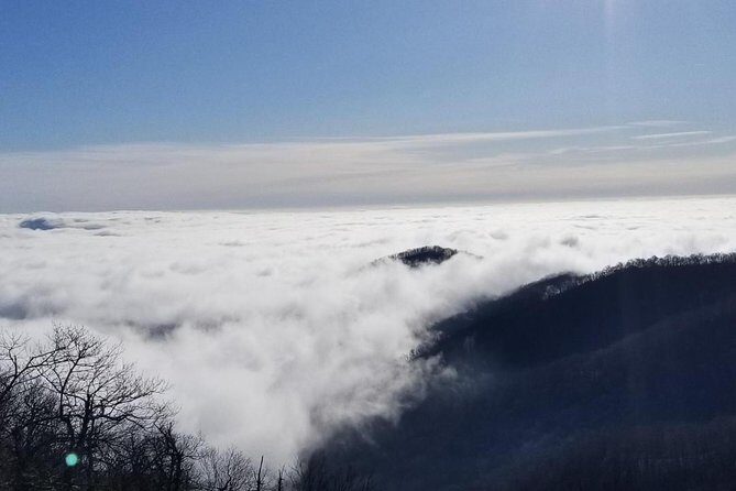 Blue Ridge Parkway Waterfalls Hiking Tour from Asheville - FAQs