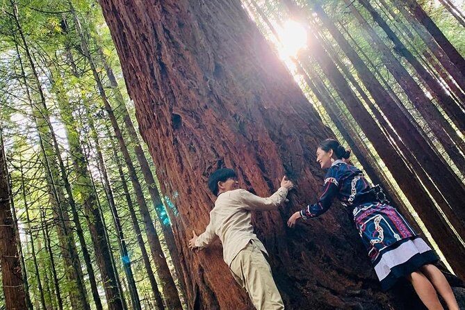 Blue Springs, Redwood Forest, Huka Falls Private tour - FAQ