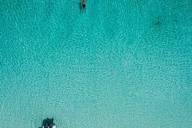 Bluefinn242 Swim with the Turtles in Nassau Bahamas - What to Expect on the Tour