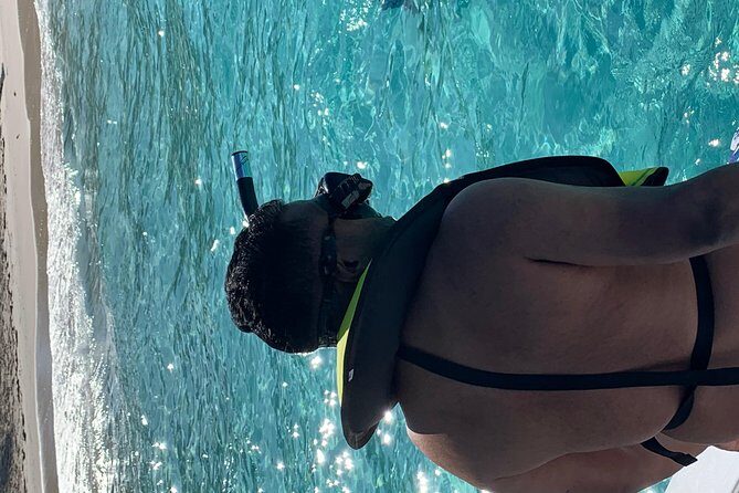 Bluefinn242 Swim with the Turtles in Nassau Bahamas - The Value of This Experience