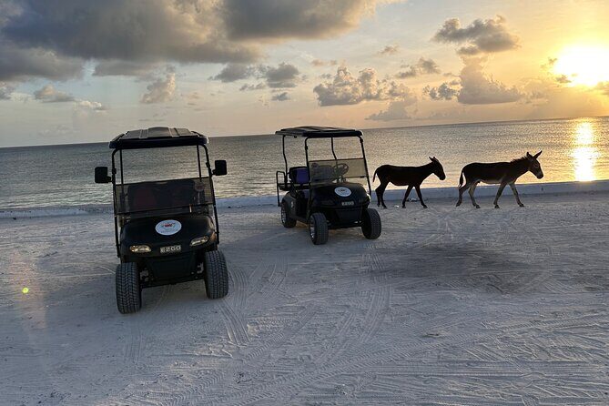 BMC Rentals -Golf Carts & Jeep Wrangler in Grand Turks - A Detailed Look at the Grand Turk Golf Cart Experience