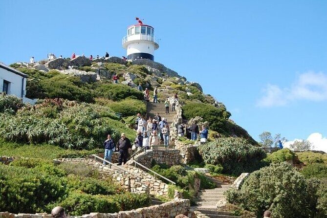 Bo Kaap Cape Point Penguins at Boulders Beach Cape Town - How the Experience Comes to Life