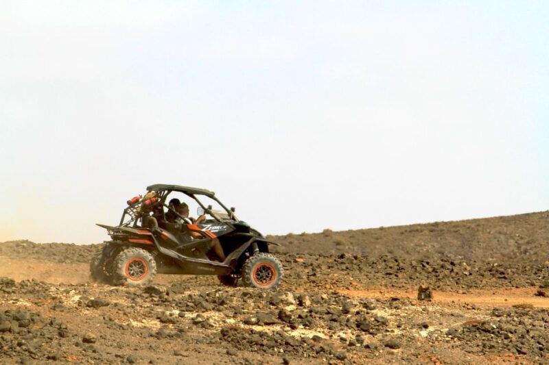 Boa Vista: 2-Hour Buggy 1000cc North Island Adventure - The Details of the Boa Vista Buggy Adventure