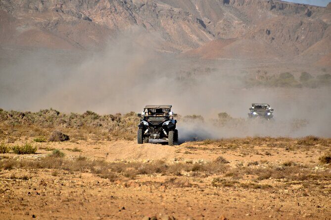 Boa Vista 2h Buggy Death Valley Adventure 1000cc - Who Will Love This Tour?