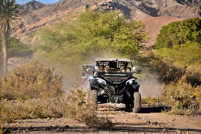 Boa Vista 2h Buggy Death Valley Adventure 1000cc - FAQ