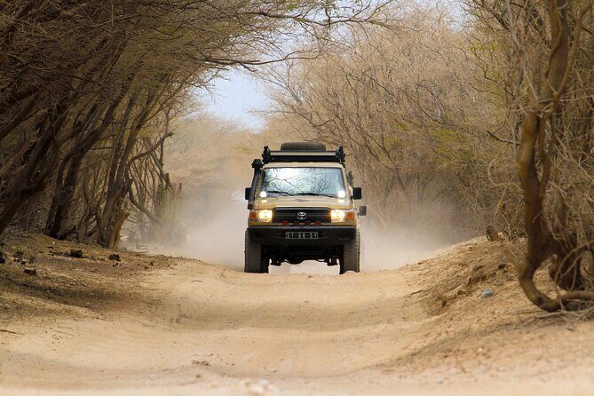 Boa Vista: 4h North Jeep Expedition Off-Road - An In-Depth Look at the Boa Vista North Jeep Tour