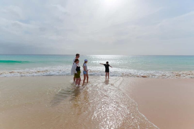 Boa Vista: Beautiful Beaches, Turtles & Djeu Island Snorkel - In Summary: Who Is This Tour Best For?
