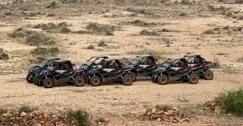 Boa Vista: Buggy Death Valley Adventure 2h - Key Points