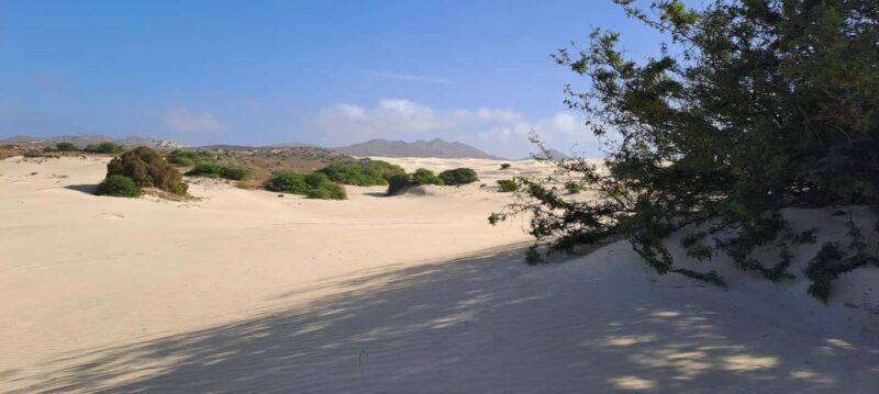 Boa Vista: Full-Day Combi Tour with Lunch - A Practical Breakdown of the Tour Experience